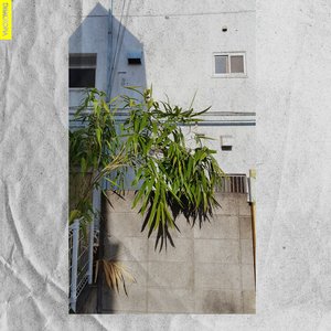 Pure Half Glass - Single