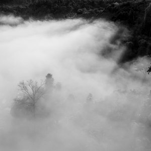 Scattering Spectrum