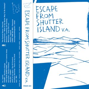 ESCAPE FROM SHUTTER ISLAND V.A.