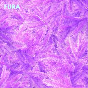 Fura