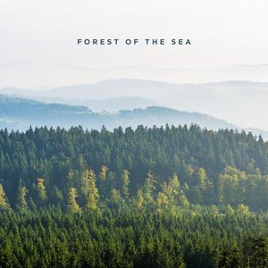 Forest Of The Sea