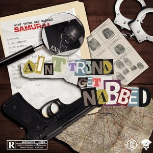 Ain't Tryna Get Nabbed - Single