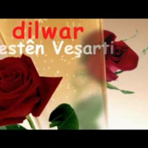 Avatar for Dilwar