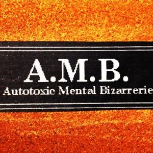 A.M.B. 的头像