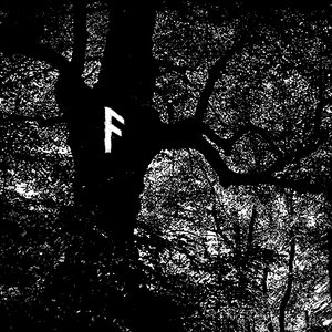 Avatar for Ancient Oak