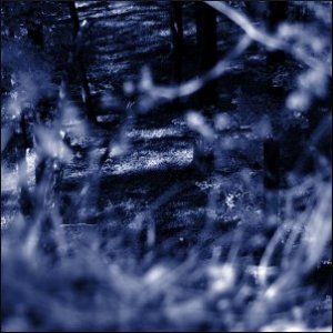 “Ultraviolet Garden”的封面