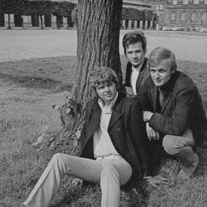 Young Flowers photo provided by Last.fm