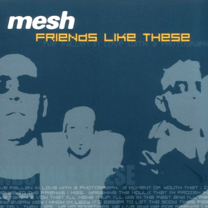 Mesh - Friends_Like_These-Ltd_400 - Zortam Music