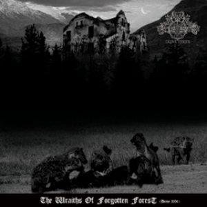 The Wraiths of Forgotten Forest