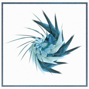 Vectors