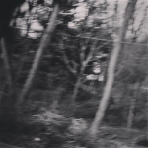 A NEW VOID