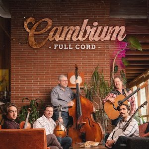 Cambium