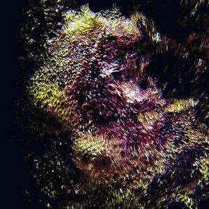 lapidary