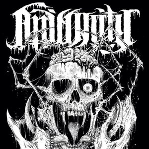 Animality 的头像