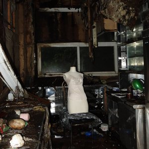 Disgust / Petalish - Single