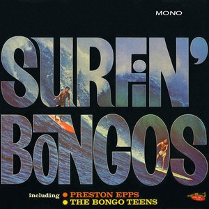 Surfin' Bongos (Mono)