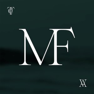 Mirror To The Fire (Alternate Version) - Single