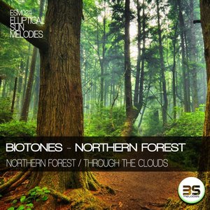 Northern Forest