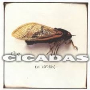The Cicadas
