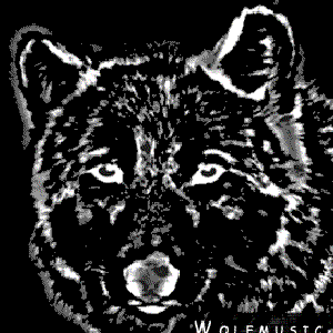 Image for 'Wolfmusic'