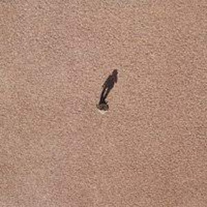 Tap Dancing in the Sand