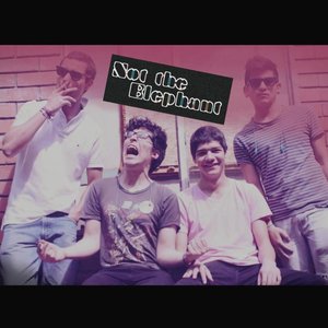 Not The Elephant 的头像