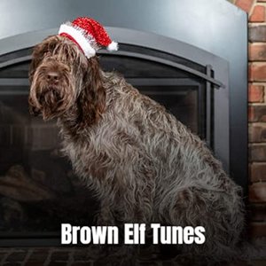 Brown Elf Tunes