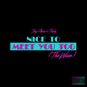 Nice to Meet You Too (The Wave) [feat. Packy] - Single