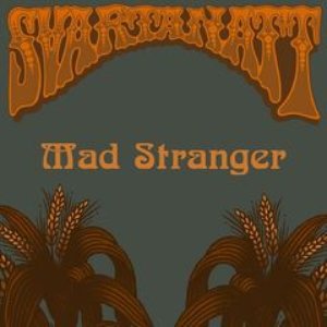 Mad Stranger