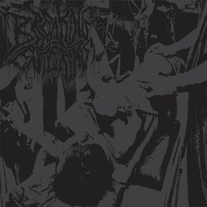 S/T