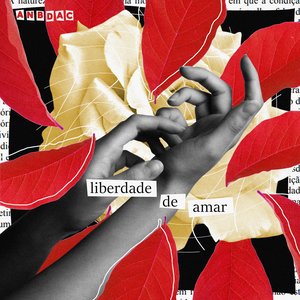 Liberdade de Amar