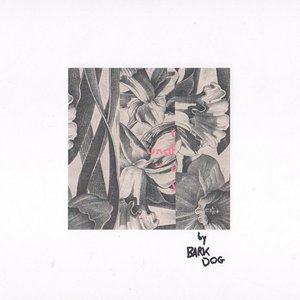 Okay Okay [Explicit]