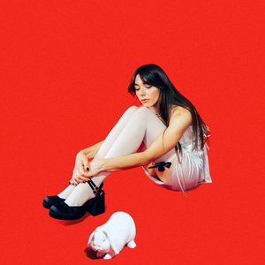 En popprinsessas dagbok