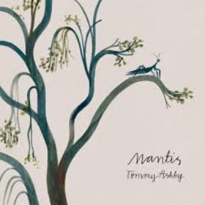 Mantis