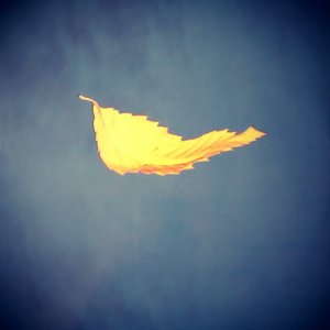 New Order - True Faith 94 [E.P.] - Zortam Music