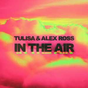 Artwork for In The Air