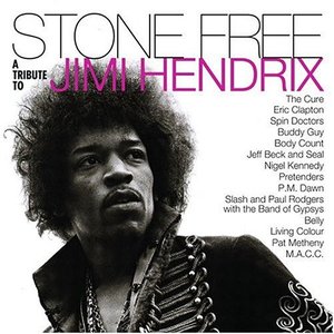 Jimi Hendrix Tribute 的头像