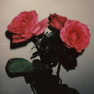 rosen - Single