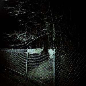 Sleep Forever - Single
