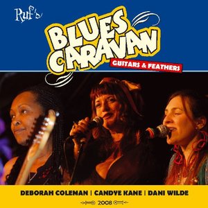 Blues Caravan 2008 - Guitars & Feathers