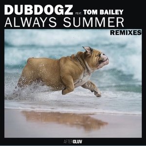 Always Summer (Remixes)