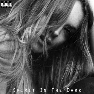Spirit in the Dark