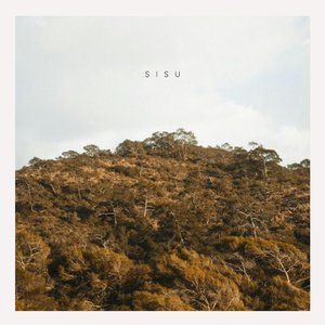 Sisu