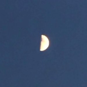 New Years Moon