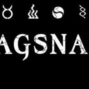 Nagsnail 的头像