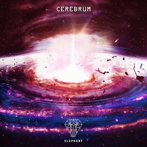 Cerebrum