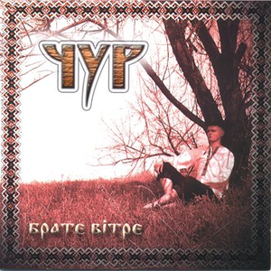 Брате Вітре cover