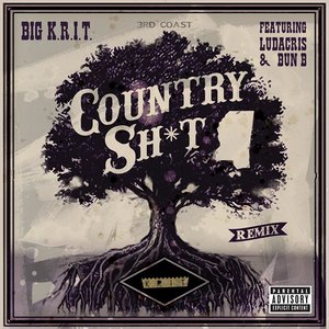 Country Sh*t (Remix) [feat. Ludacris & Bun B] - Single