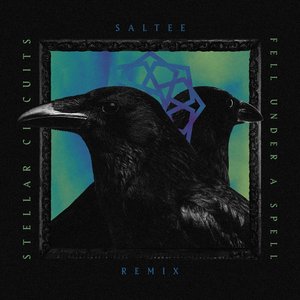 Fell Under a Spell (Remix) [feat. Saltee] - Single