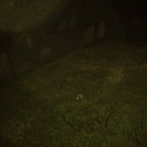 December Apparition 的头像